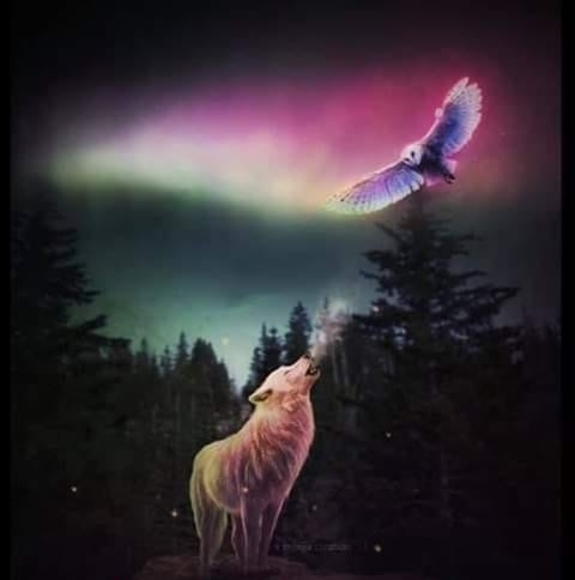 Meet your Posher, Peter - Picture 1 of 1